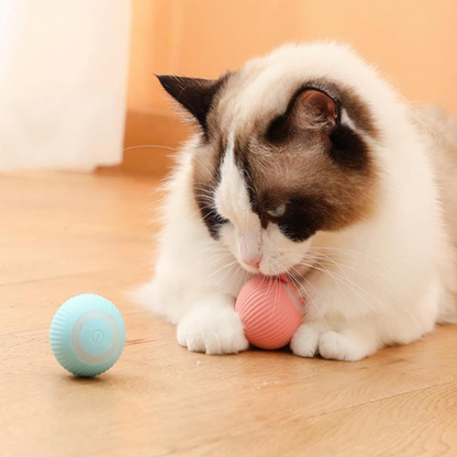 PurrBall® Juguete Interactivo